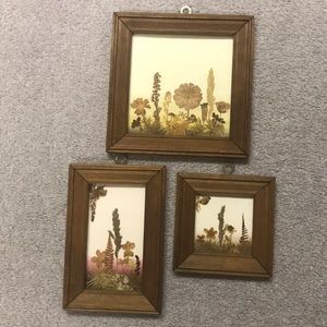 Framed Beautiful Flowers compositions